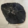 salontafel versteend hout