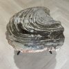 Versteend hout salontafel