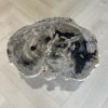 Versteend hout salontafel