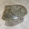 Versteend hout salontafel
