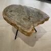 Versteend hout salontafel