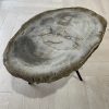 salontafel versteend hout