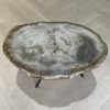 salontafel versteend hout