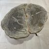 salontafel versteend hout