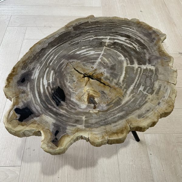 salontafel versteend hout