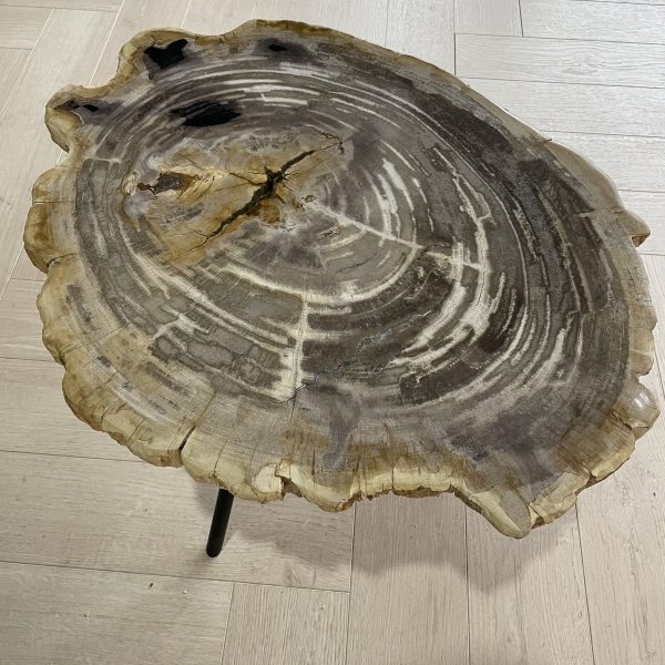 salontafel versteend hout